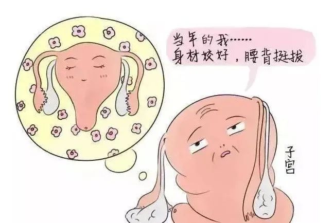 1702192864581140.jpg fb1b831934fcdd8a3ce872675ea5a7ec_640_wx_fmt=jpeg&wx=5&wx_lazy=1&wx_co=1&tp=wxpic.jpg/